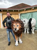 Löwe in Lebensgröße, 2 m lang 1,4 m hoch XXL Garten Deko Baden-Württemberg - Ettenheim Vorschau