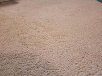 Wollteppich aus Marokko Nordrhein-Westfalen - Bad Salzuflen Vorschau