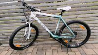 Scott Contessa 20 Mountainbike XL Alu 27 Gang 26Zoll Hessen - Mücke Vorschau