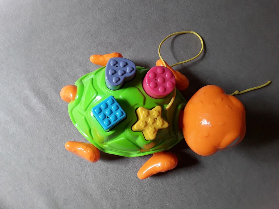 Schildkröte - Funny Turtle von vtech in Schorfheide