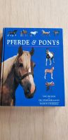 Buch über Pferde und Ponys Bayern - Parkstetten Vorschau