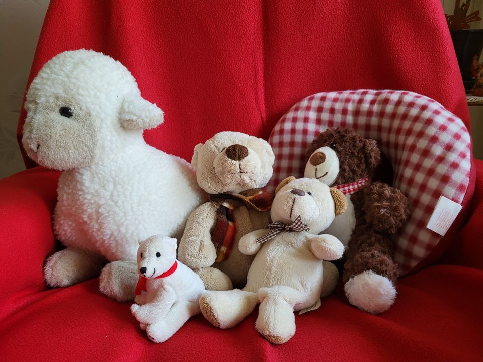 Spielzeug, Kuscheltiere,Teddybär,Blüschteddy, Schaf, Nackenkissen in Auerbach (Vogtland)