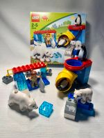 Lego Duplo 5633 - Polartiergehege Hessen - Biebesheim Vorschau