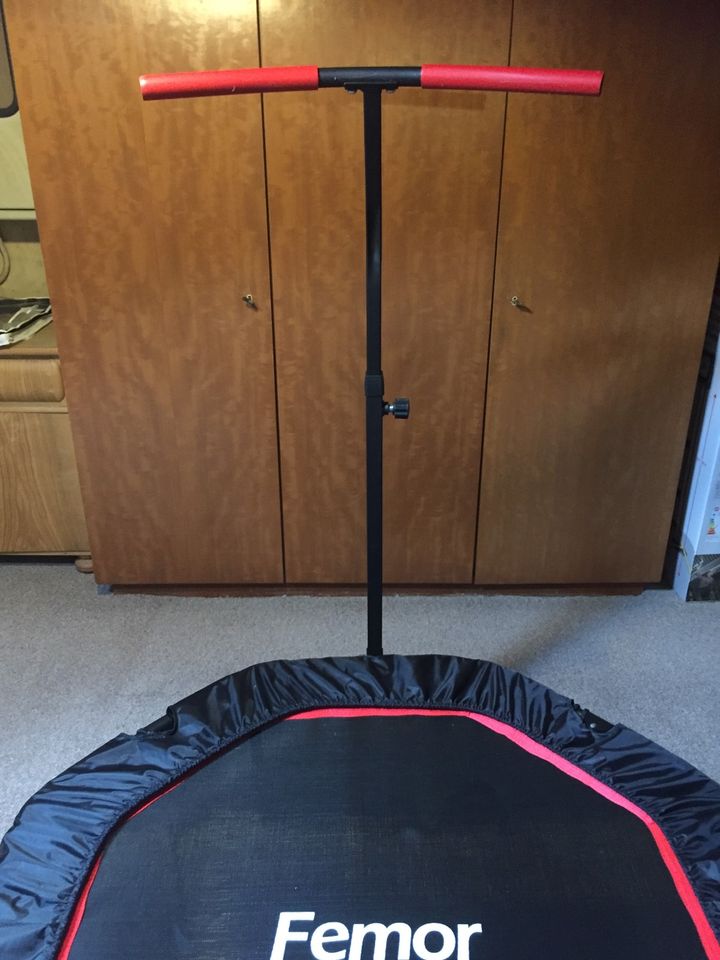 Femor Trampolin Fitnesstrampolin 120cm in Bischoffen