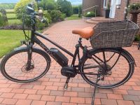 Damen E-Bike Victoria Nordrhein-Westfalen - Sassenberg Vorschau