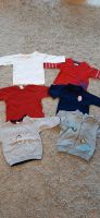 Shirts, Pulli, Sweatjacke, Kleiderpaket für Jungen Gr.68 Nordrhein-Westfalen - Schieder-Schwalenberg Vorschau