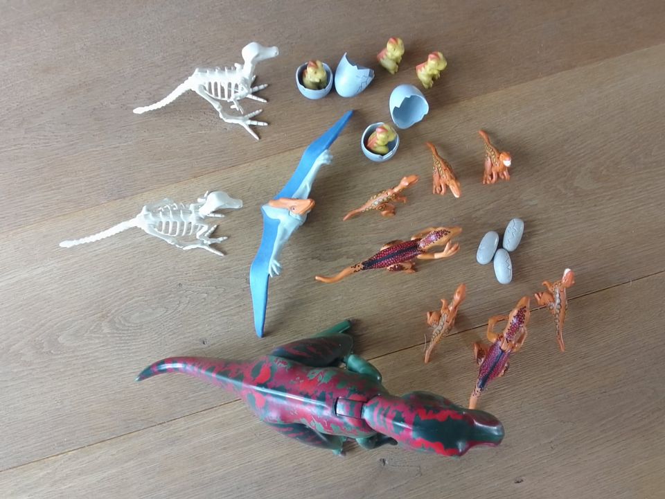 Verkaufe Playmobil Figuren Dinosaurier T-Rex Raptor Skelette in Fehmarn