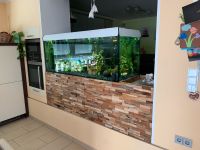 Aquarium 160x60x60cm mit Fluval LED und FX4 Filter Thüringen - Unterwellenborn Vorschau