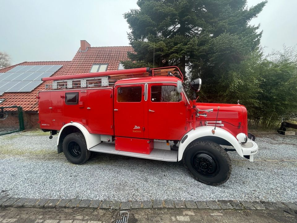 Mercedes Wohnmobil in Rhauderfehn