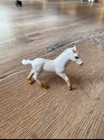 Special Schleich Fohlen | Schleich Pferd Niedersachsen - Rühen Vorschau