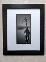 Laurent Baheux "Giraffe au dessus des Nuages" Baden-Württemberg - Sandhausen Vorschau