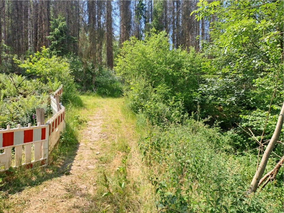 3 Waldgrundstücke  mit Bachlauf 17min. v. Köln-Ost in Overath