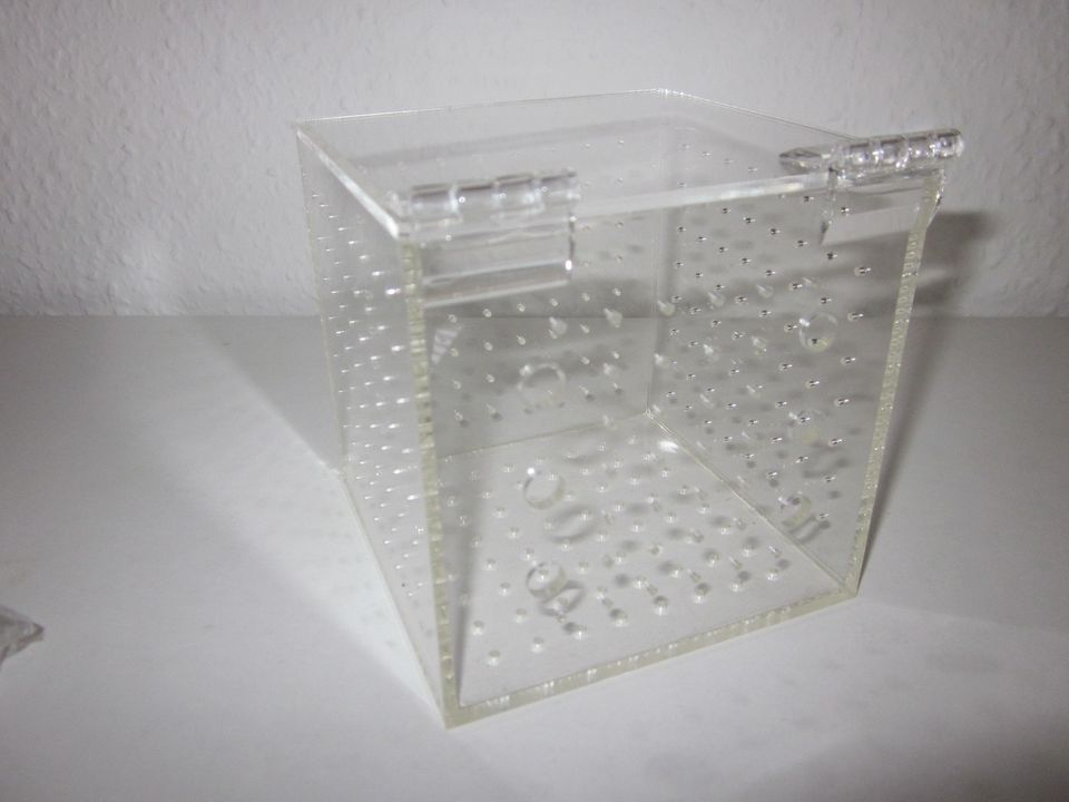 Isolationsbox Quarantänebox für Aquarium Mini Isolations Box in Backnang