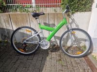Fahrrad Pinifarina 26 Zoll Hessen - Bad Homburg Vorschau
