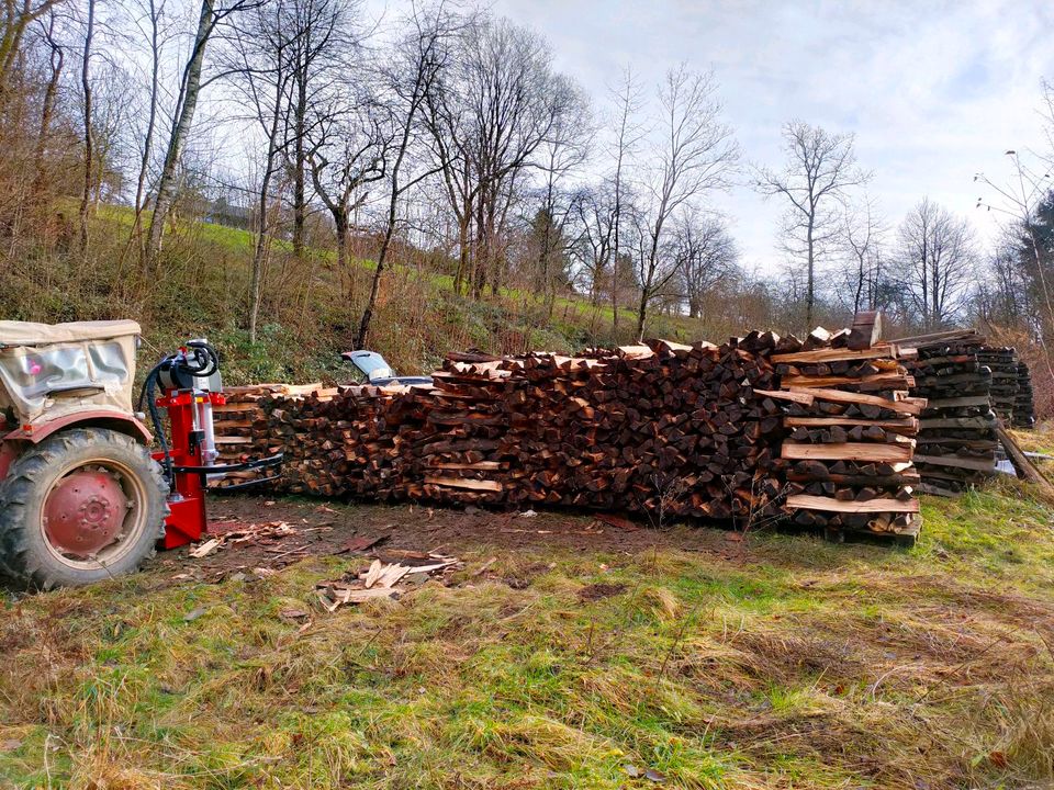 Lohnspalten (Brennholz, Stammholz, Polterholz) in Wallhalben