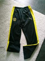Borussia Dortmund Trainingshose, Größe M Niedersachsen - Osnabrück Vorschau