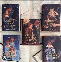 SUCHE!!!! Acotar Dust Jackets von Illumicrate. Fairyloot Hamburg-Mitte - Hamburg Hamm Vorschau