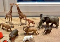 Schleich Tiere Elefant, Giraffe, Eisbär, Hirsch, Hund, Hase Hessen - Glashütten Vorschau