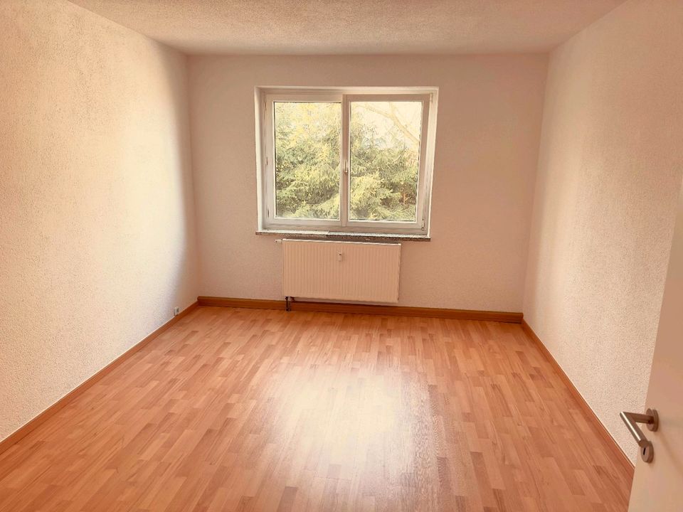 Geräumige 3 Raum Wohnung mit 62,5qm in Göttwitz in Mutzschen