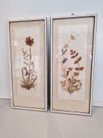 2 Bilder Trockenblumen hinter Glas Rahmen Nordrhein-Westfalen - Sankt Augustin Vorschau