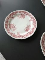 Villeroy & Boch Valeria rot Teller Nordrhein-Westfalen - Goch Vorschau