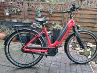 Gazelle E bike Ultimate C8 Hessen - Gießen Vorschau