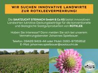 Wir suchen innovative Rotkleevermehrer Bayern - Straubing Vorschau