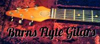 SUCHE ! Burns Flyte Guitar und Parts Neck Ersatzteile  ! Nordrhein-Westfalen - Leverkusen Vorschau