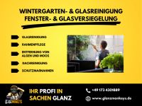 WINTERGARTEN- & GLASREINIGUNG I FENSTER- & GLASVERSIEGELUNG Bayern - Burglengenfeld Vorschau