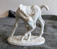 Porzellanfigur Pferd signiert von Curt Tausch Nordrhein-Westfalen - Brühl Vorschau