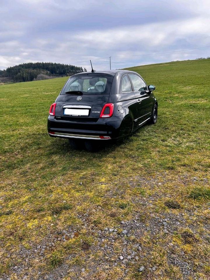 Ellenator Fiat 500 Dolcevita # 1. Hand # Sommer- + Winterreifen in Winnerath