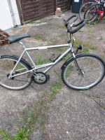 Herren Fahrrad 26 zoll Saarland - Saarlouis Vorschau