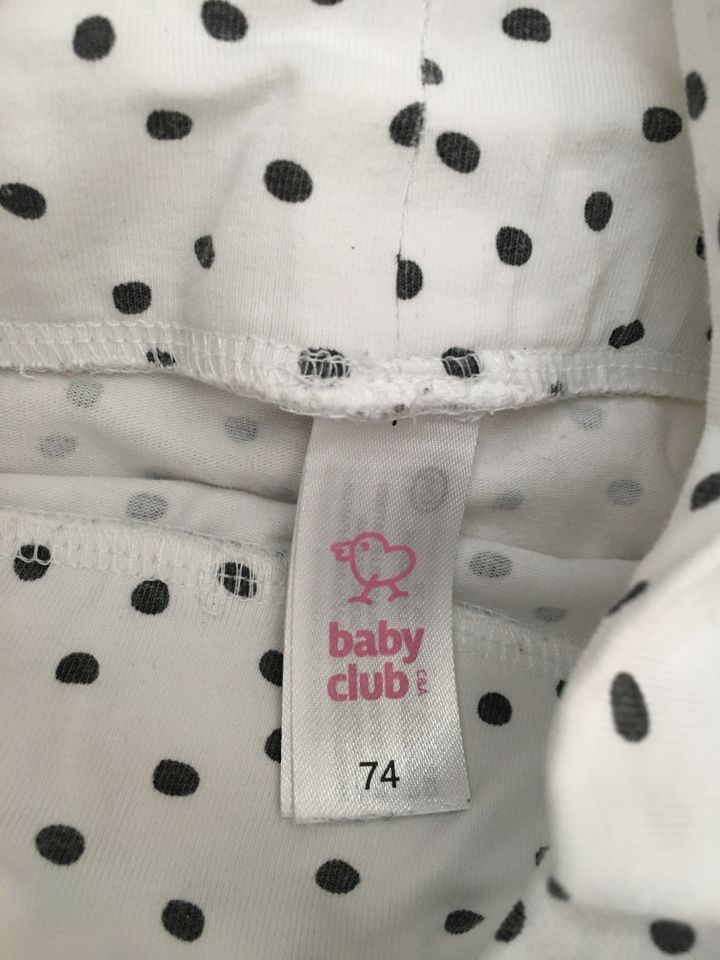 Langarmshirt mit Leggings für Baby Mädchen Gr. 74 Kätzchen in Hofheim am Taunus