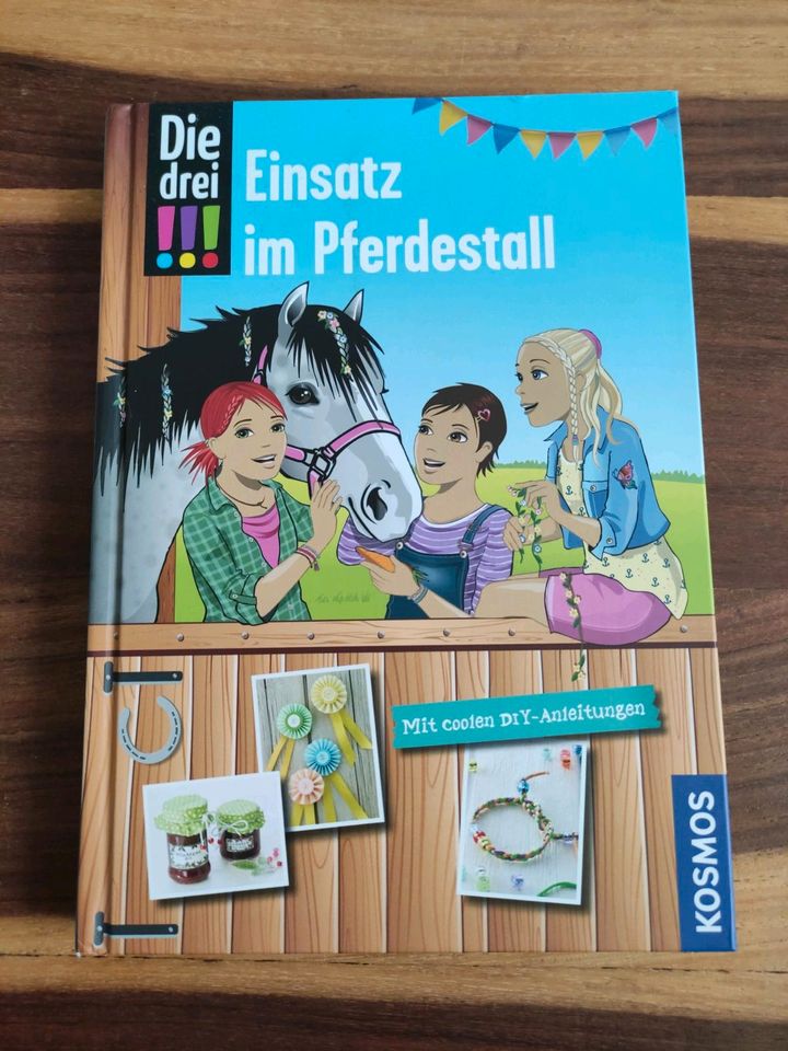 Die drei !!! DIY Mitmachbuch, Einsatz im Pferdestall in Potsdam