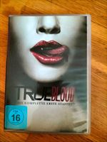 DVD's True Blood, Staffeln 1-4, wie neu Hannover - Mitte Vorschau