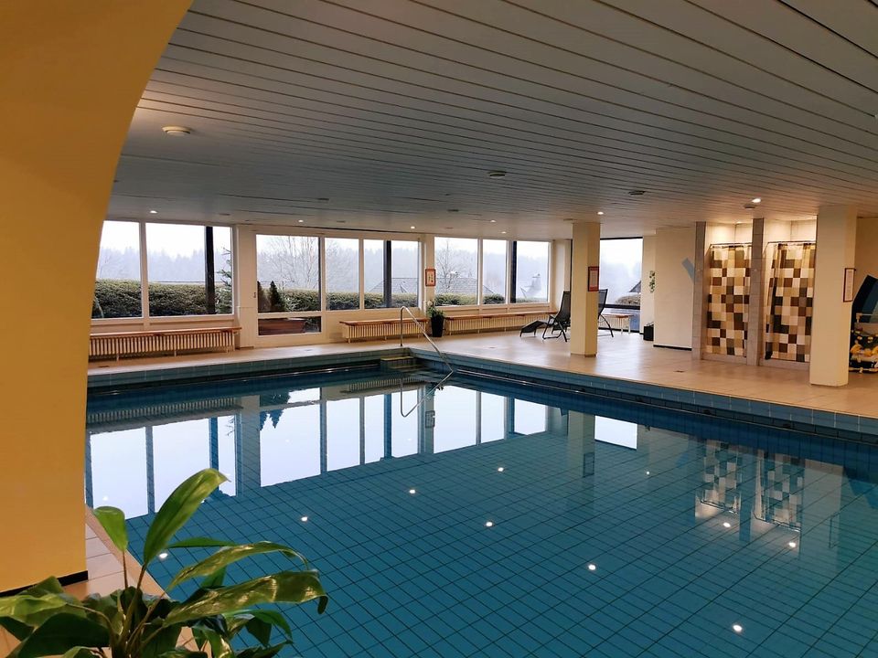 Ferienwohnung im Schwarzwald mit Schwimmbad und Sauna in Lenzkirch