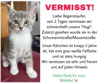 Katze vermisst!!! Bayern - Regenstauf Vorschau