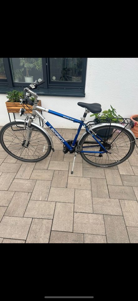 Männer Fahrrad in Schmallenberg