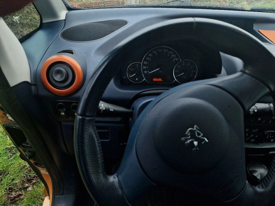 Peugeot 1007 Premium in Ganderkesee