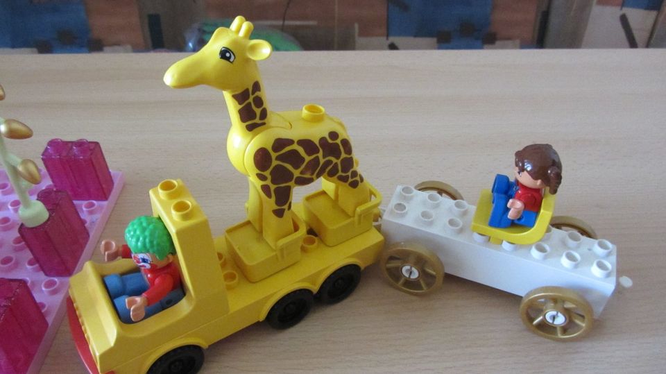 Lego Duplo Zirkus, Manege frei, gr.Bauplatte,Glasbausteine....... in Braunsbedra