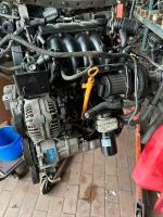 Motor Audi A3  Golf 4 1,6 Liter AVU Nordrhein-Westfalen - Nottuln Vorschau