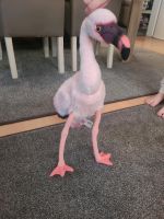 National Geographic Flamingo 45 cm Nordrhein-Westfalen - Oberhausen Vorschau