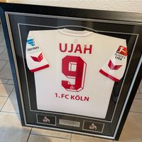 Trikot 1. FC Köln original Ujah handsigniert! Nordrhein-Westfalen - Erftstadt Vorschau