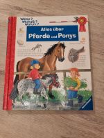 Wieso weshalb warum - alles über Pferde und Ponys Baden-Württemberg - Brühl Vorschau