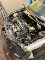 Seat Ibiza 6L 1,4 16V  74Kw BBZ Motor und Getriebe Nordrhein-Westfalen - Velbert Vorschau