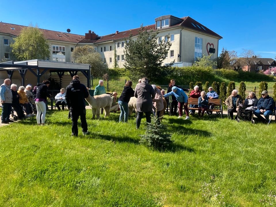 Alpakabesuch in Möllenhagen