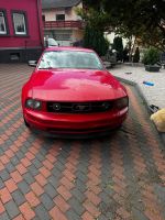 Ford Mustang 4L V6 Bayern - Schöllkrippen Vorschau