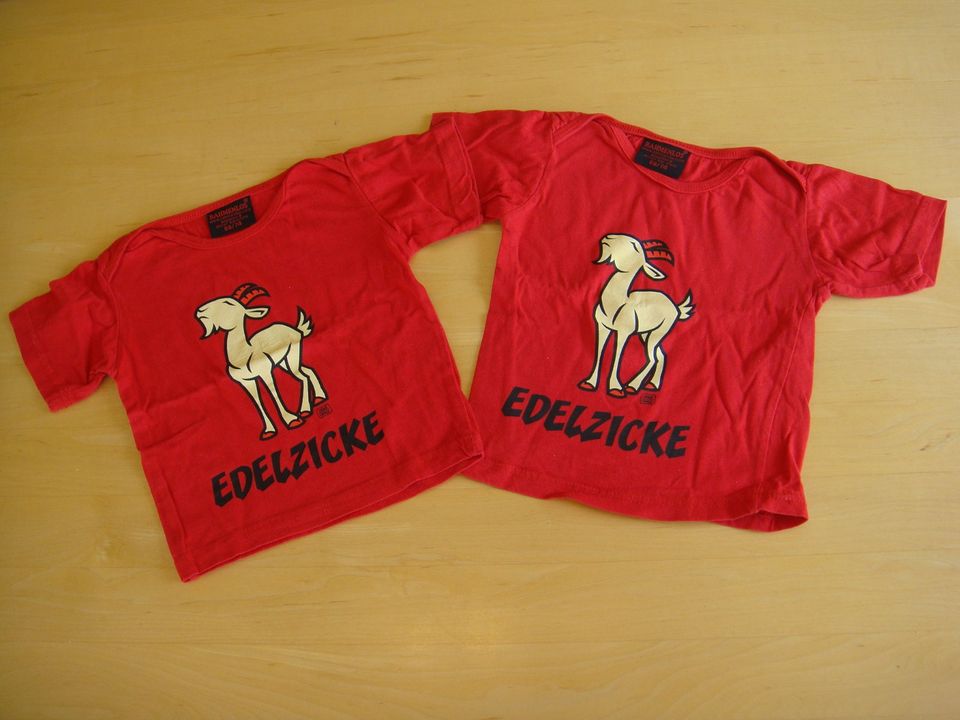 T-SHIRTS "Edelzicke-Rahmenlos" Gr.68/74 rot ZWILLINGE in Magdeburg