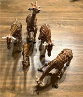 Schleich Giraffen Bayern - Bamberg Vorschau