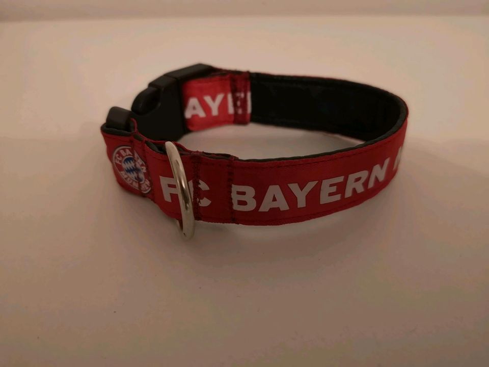 Chihuahua Halsband Größe XS ~FC Bayern München in Bayern - Türkheim | eBay  Kleinanzeigen ist jetzt Kleinanzeigen
